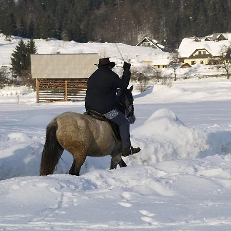 Apartmán Mavrica Bohinj