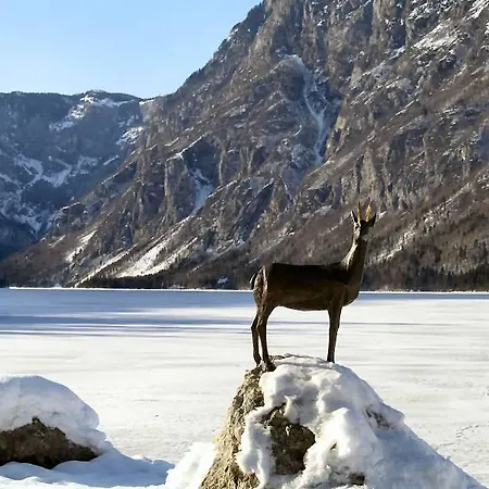 Appartamento Mavrica *